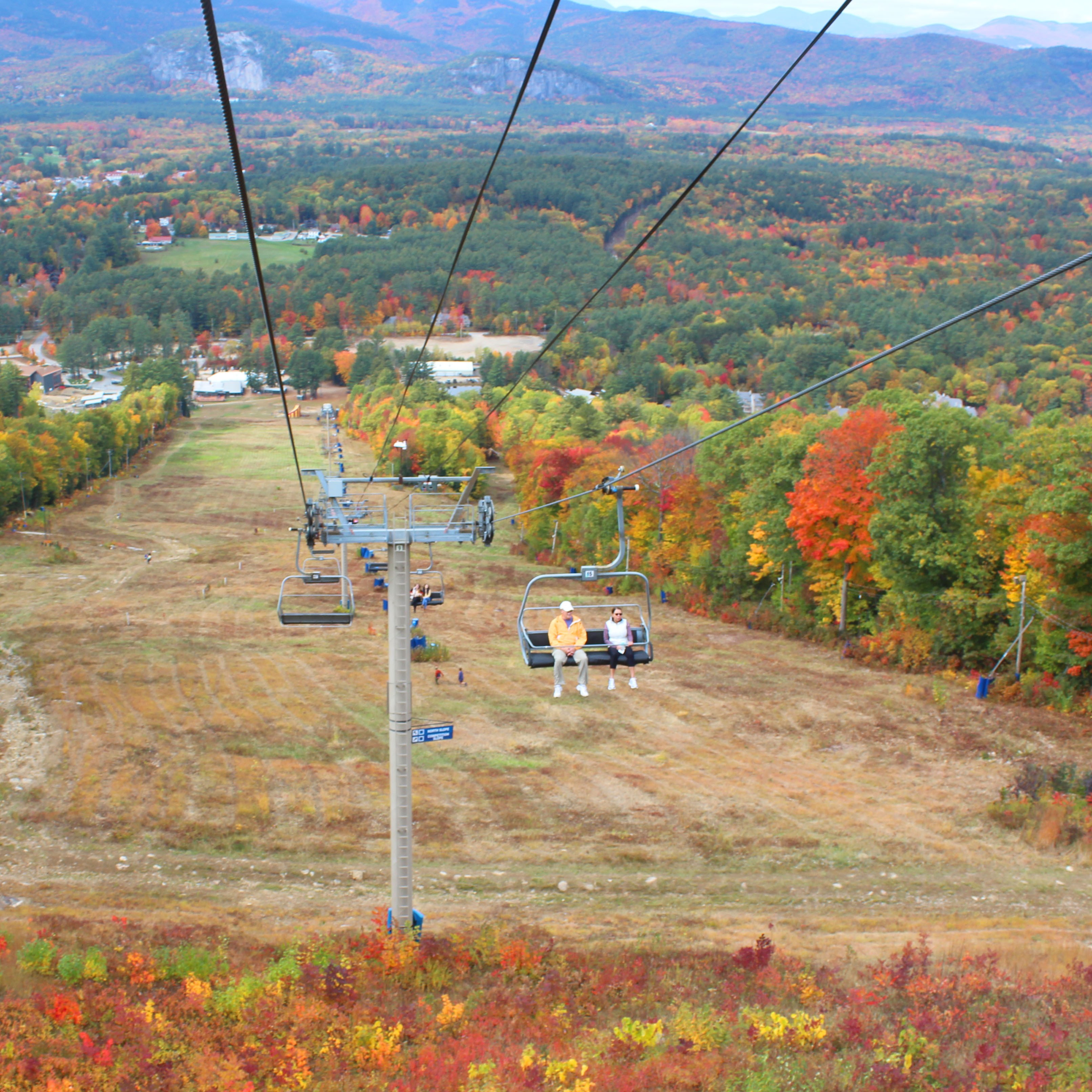 Scenic Chair Foliage